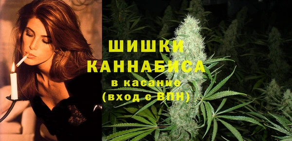 прущая мука Горняк