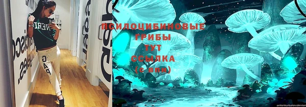 прущая мука Горняк